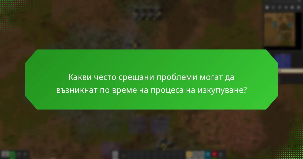 Какви често срещани проблеми могат да възникнат по време на процеса на изкупуване?
